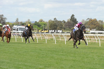 TURF PRINCE BOLTS IN TO RECORD SECOND VICTORY..